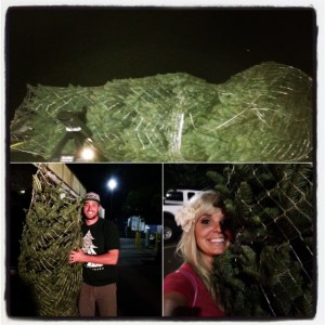 Shopping for our Christmas Tree