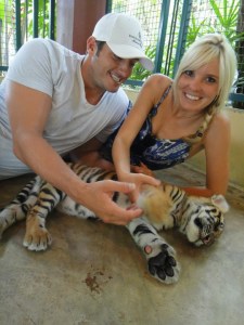 Playing with 3-6 month old Tigers while visiting Tiger Kingdom during our stay in Chiang Mai