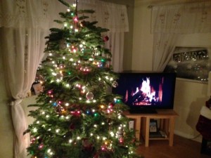 our cozy little place